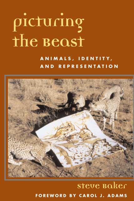 Vorderes Coverbild Picturing the Beast