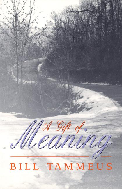 Vorderes Coverbild A Gift of Meaning