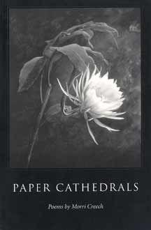 Vorderes Coverbild Paper Cathedrals