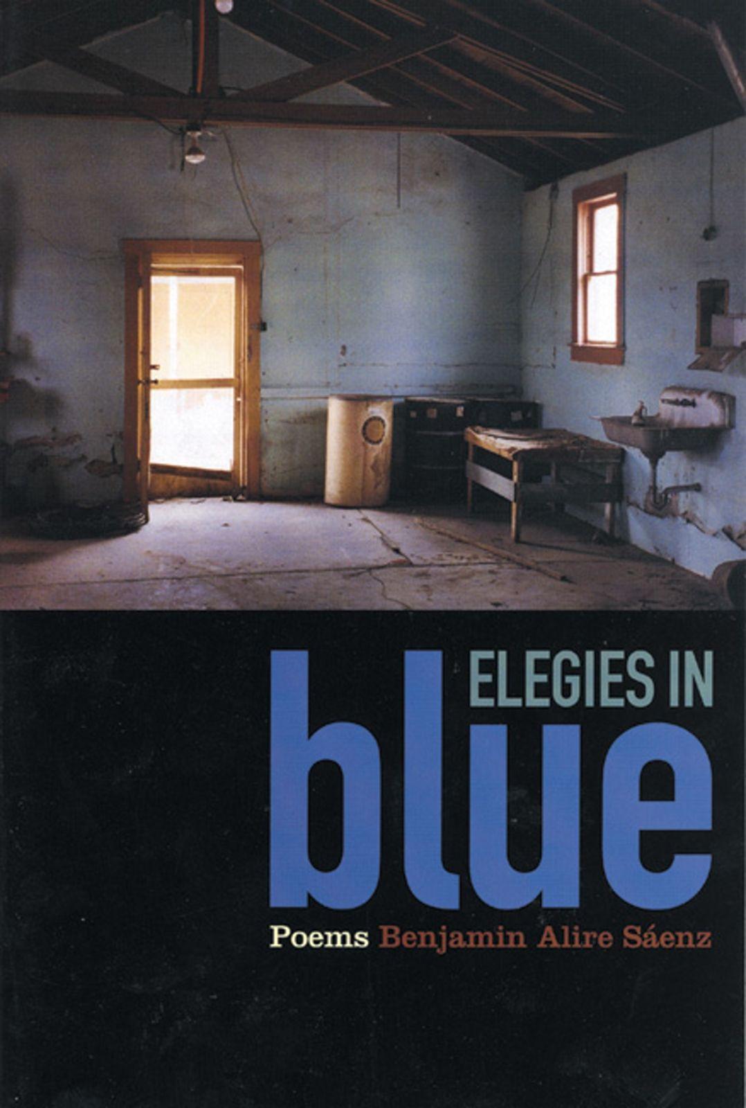 Vorderes Coverbild Elegies in Blue