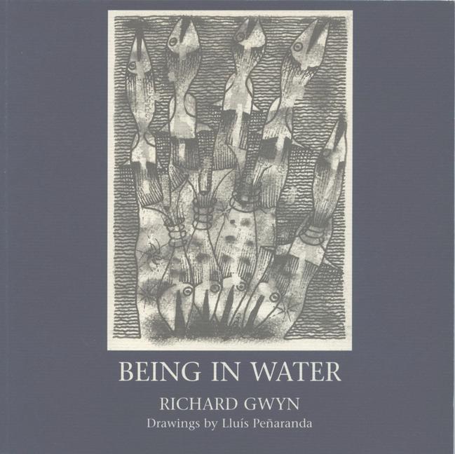 Vorderes Coverbild Being in Water