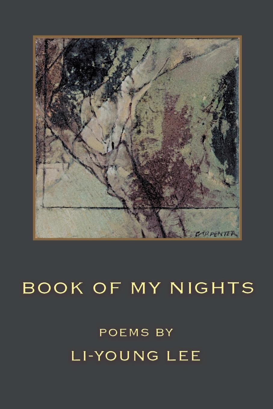 Vorderes Coverbild Book of My Nights