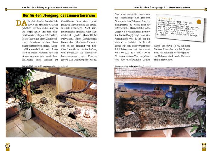 Beispielinhalt (Bild) Die Griechische Landschildkröte
