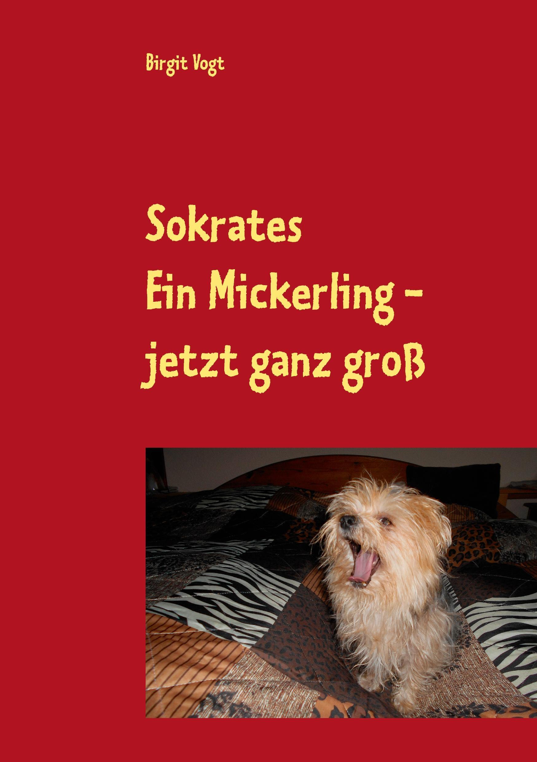Vorderes Coverbild Sokrates  Ein Mickerling - jetzt ganz groß