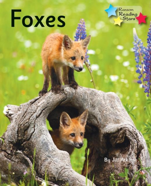 Vorderes Coverbild Foxes