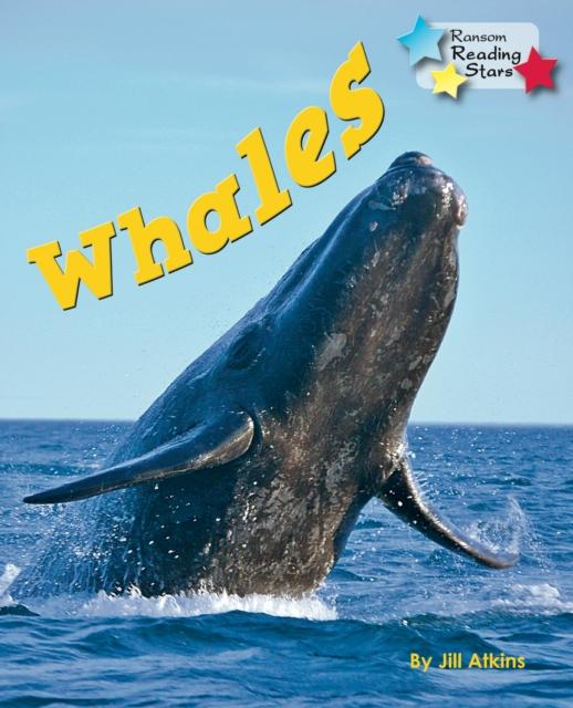 Vorderes Coverbild Whales