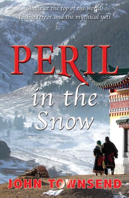 Vorderes Coverbild Peril in the Snow