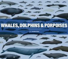 Vorderes Coverbild Whales, Dolphins and Porpoises