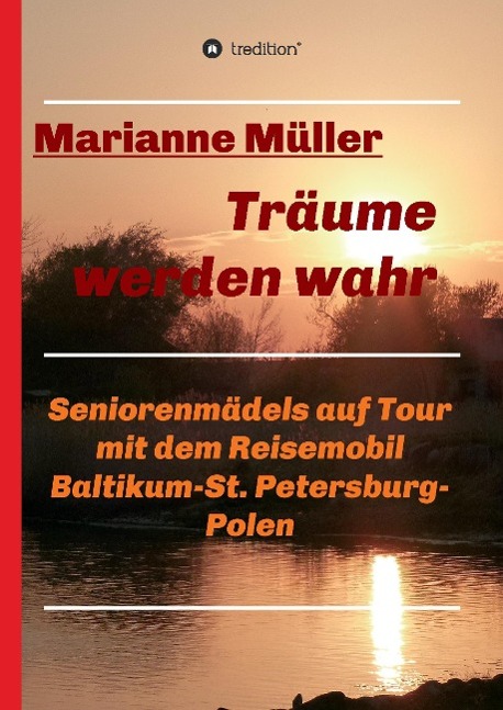 Vorderes Coverbild Träume werden wahr, Band 2