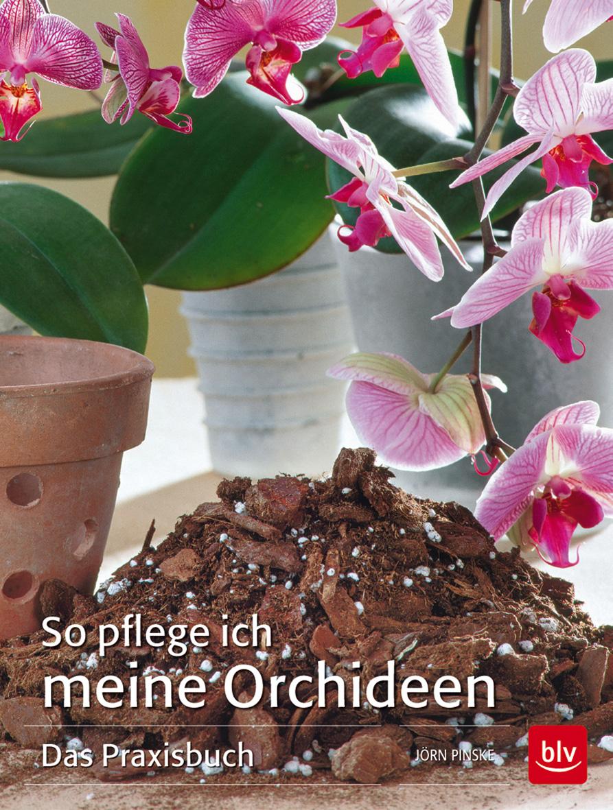 Vorderes Coverbild So pflege ich meine Orchideen