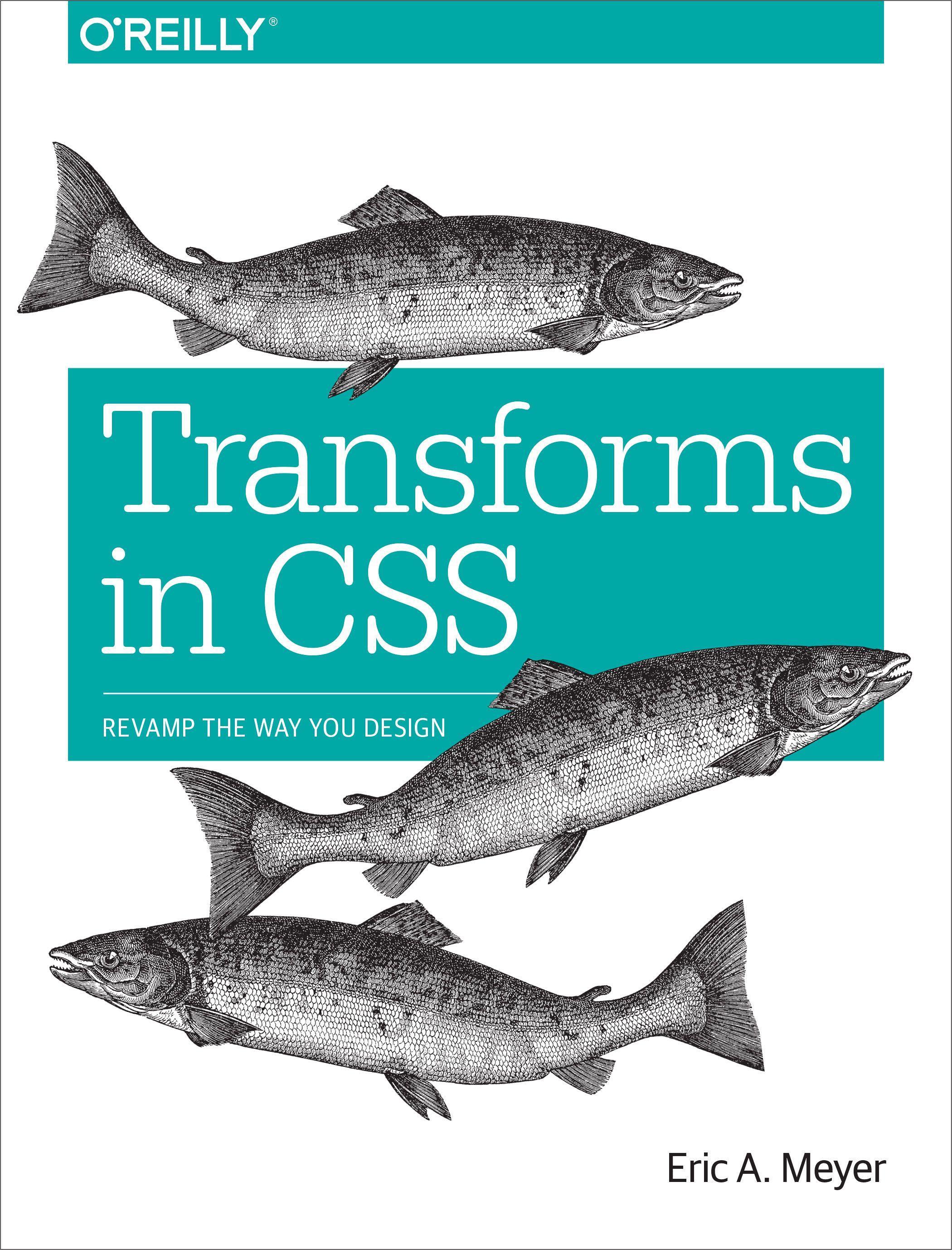 Vorderes Coverbild Transforms in CSS