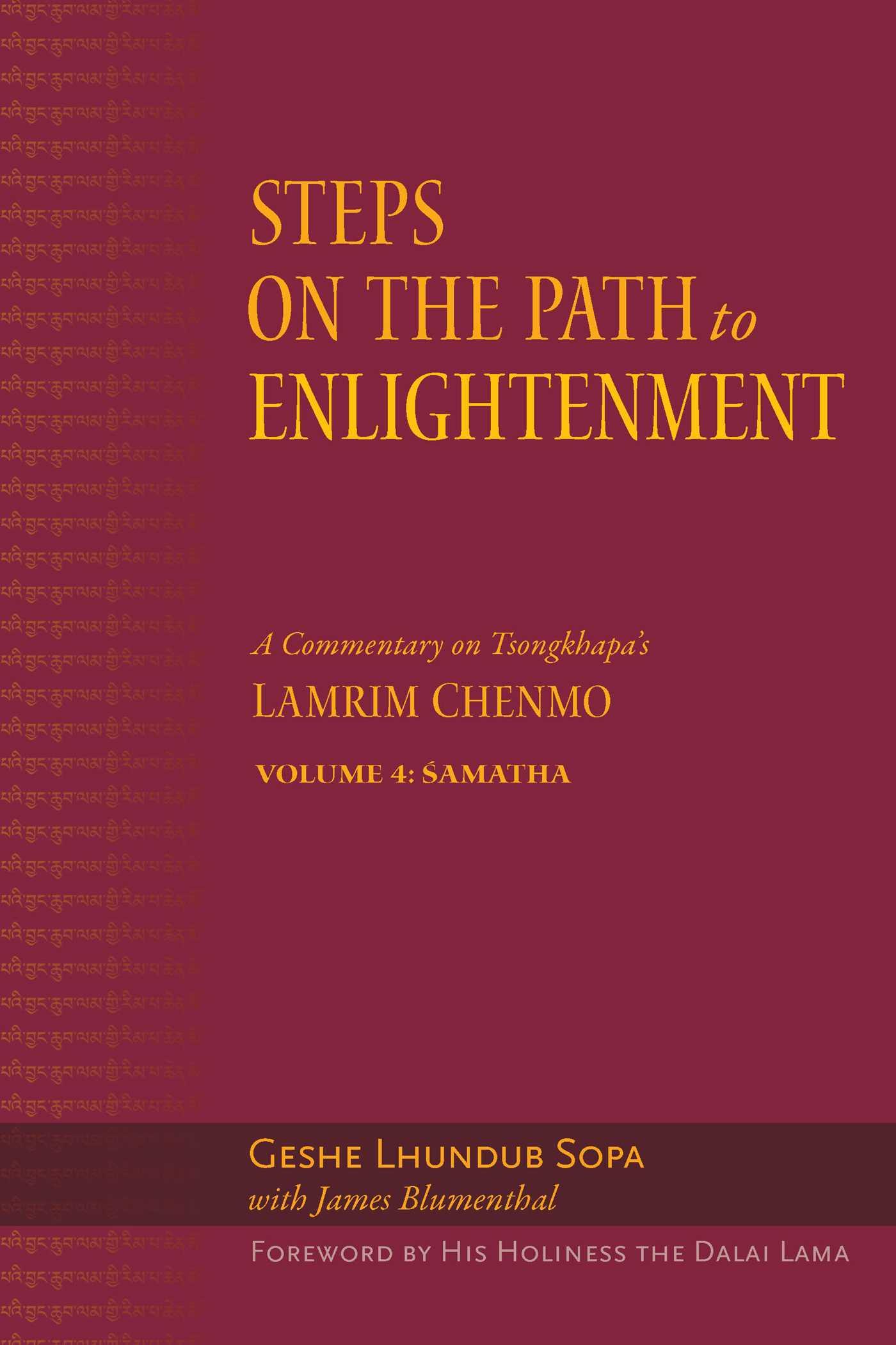 Vorderes Coverbild Steps on the Path to Enlightenment