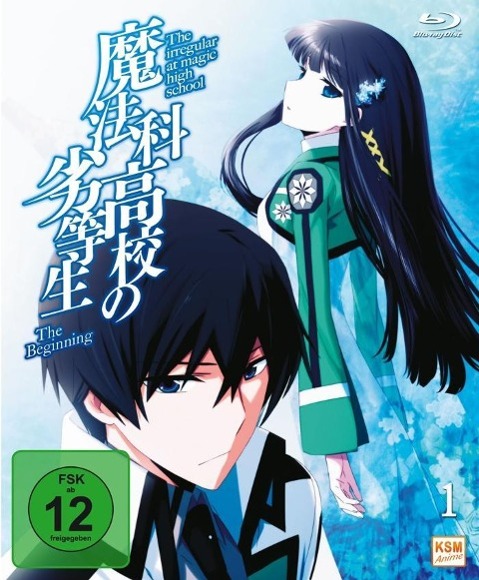 Vorderes Coverbild The Irregular at Magic High School