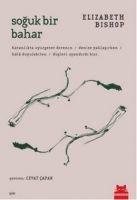 Vorderes Coverbild Soguk Bir Bahar
