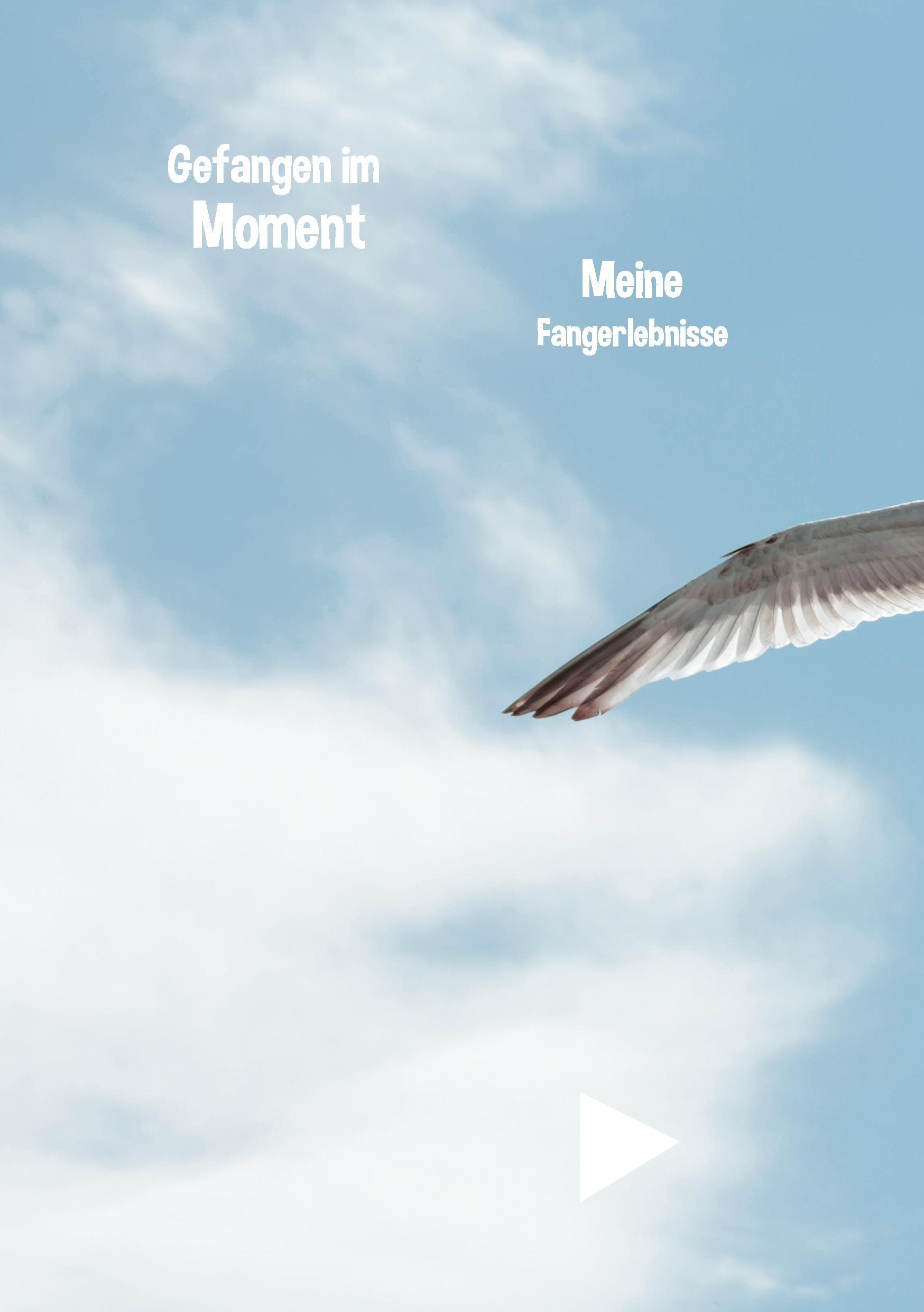 Vorderes Coverbild Gefangen im Moment