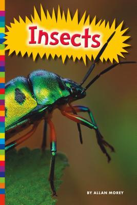 Vorderes Coverbild Insects