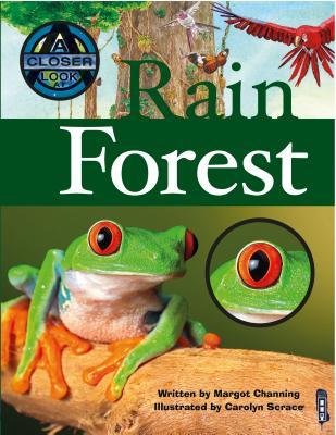 Vorderes Coverbild Rain Forest