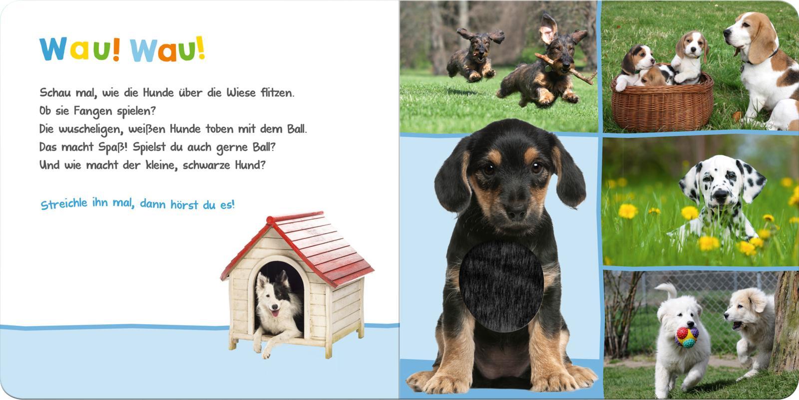 Beispielinhalt (Bild) Hör mal rein, wer kann das sein? Lieblingstiere