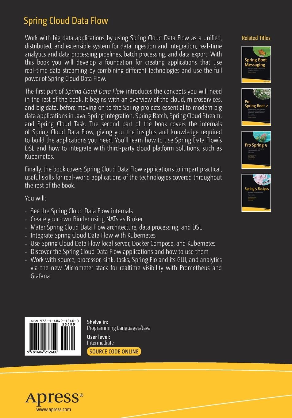 Rückseitencover Spring Cloud Data Flow