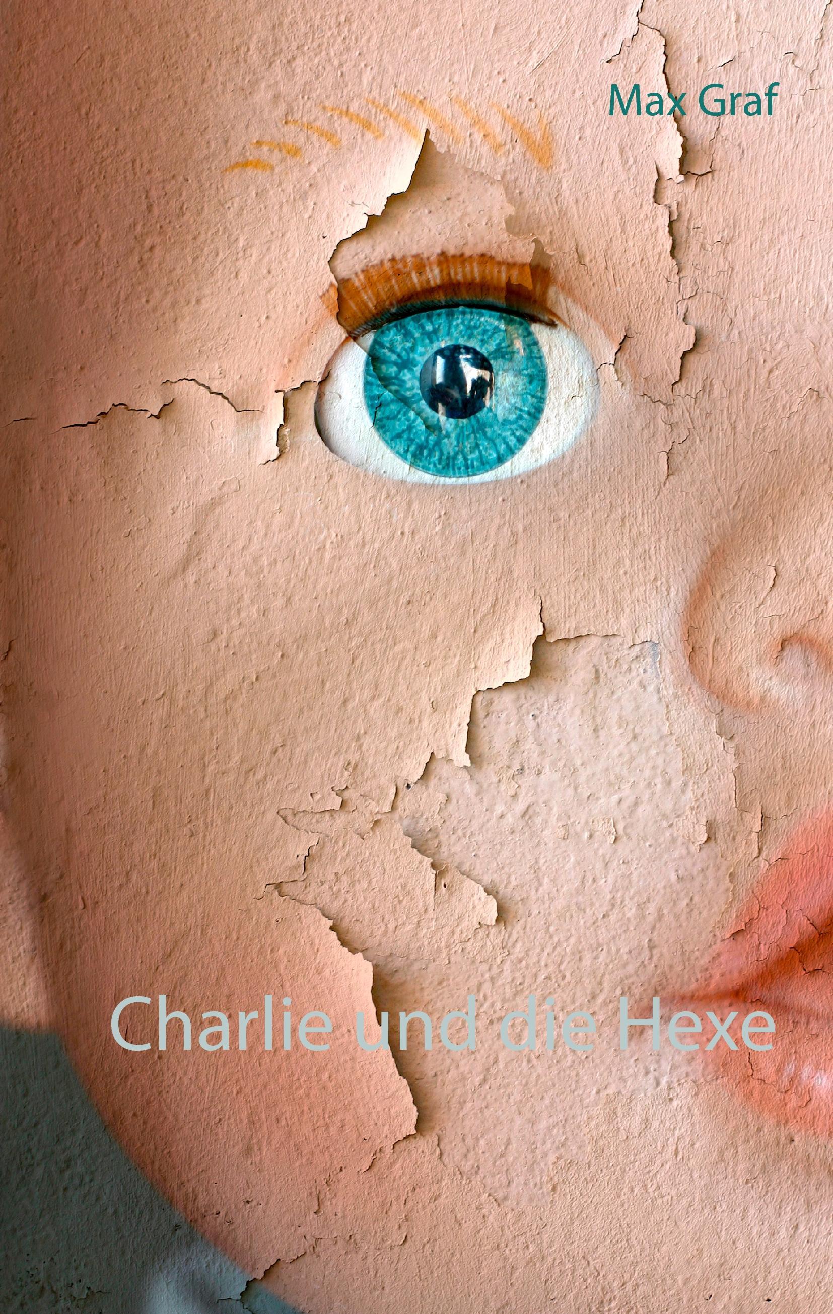 Vorderes Coverbild Charlie und die Hexe