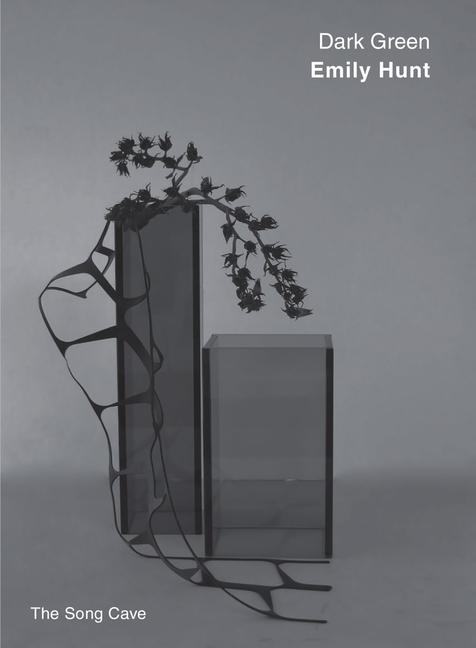 Vorderes Coverbild Dark Green