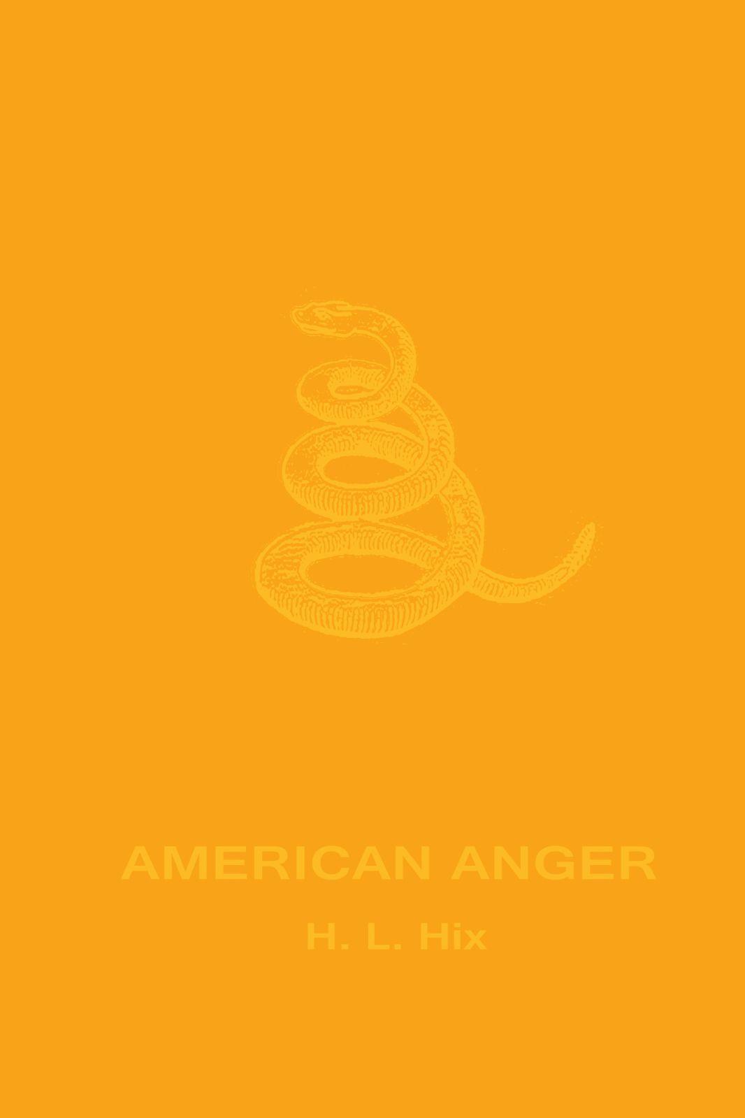 Vorderes Coverbild American Anger