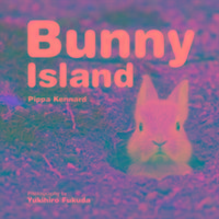 Vorderes Coverbild Bunny Island