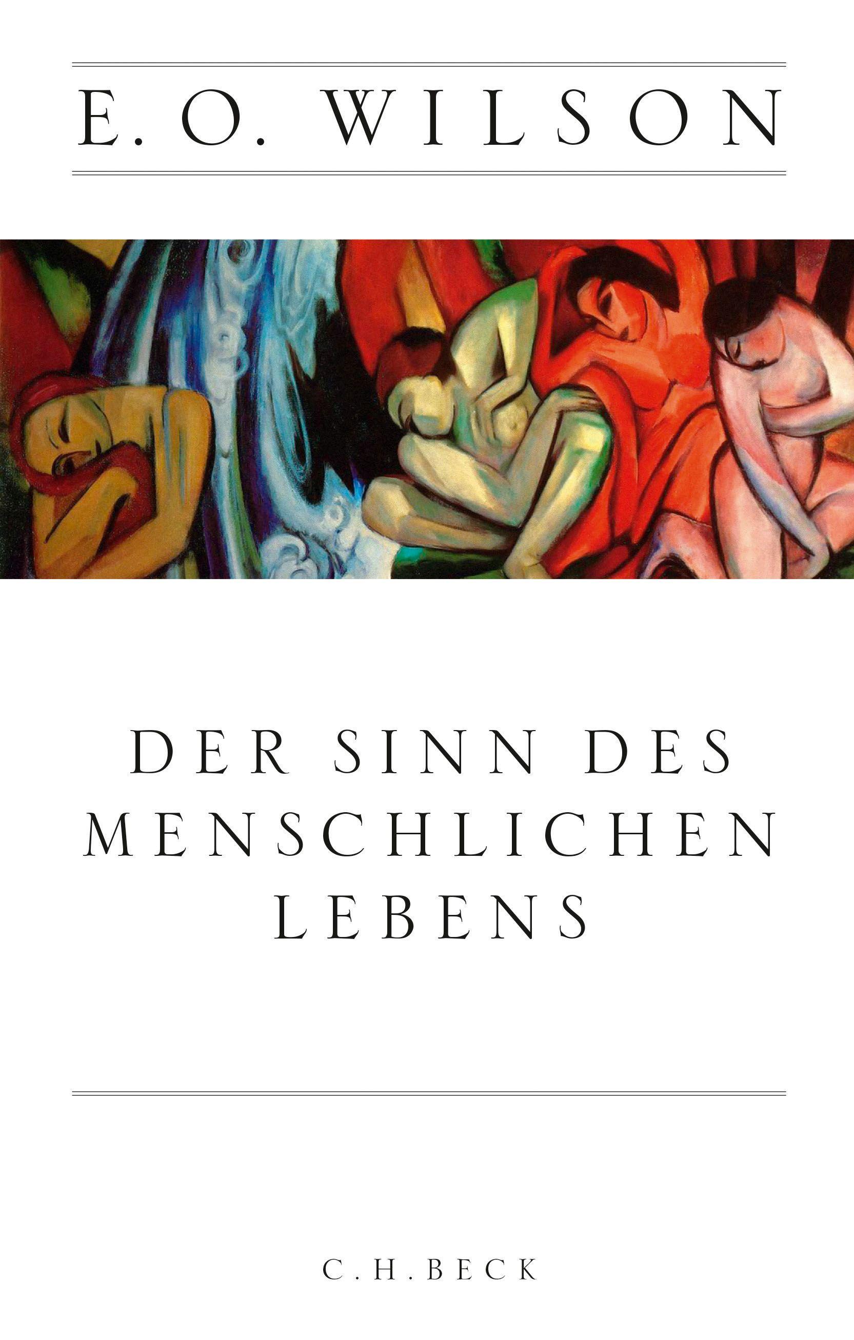 Vorderes Coverbild Der Sinn des menschlichen Lebens