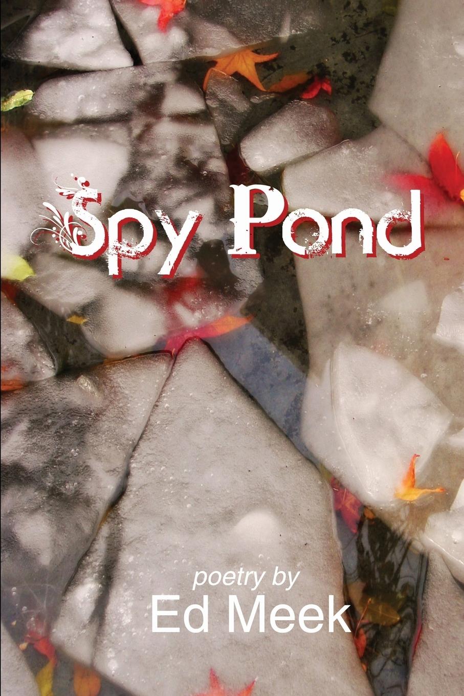Vorderes Coverbild Spy Pond