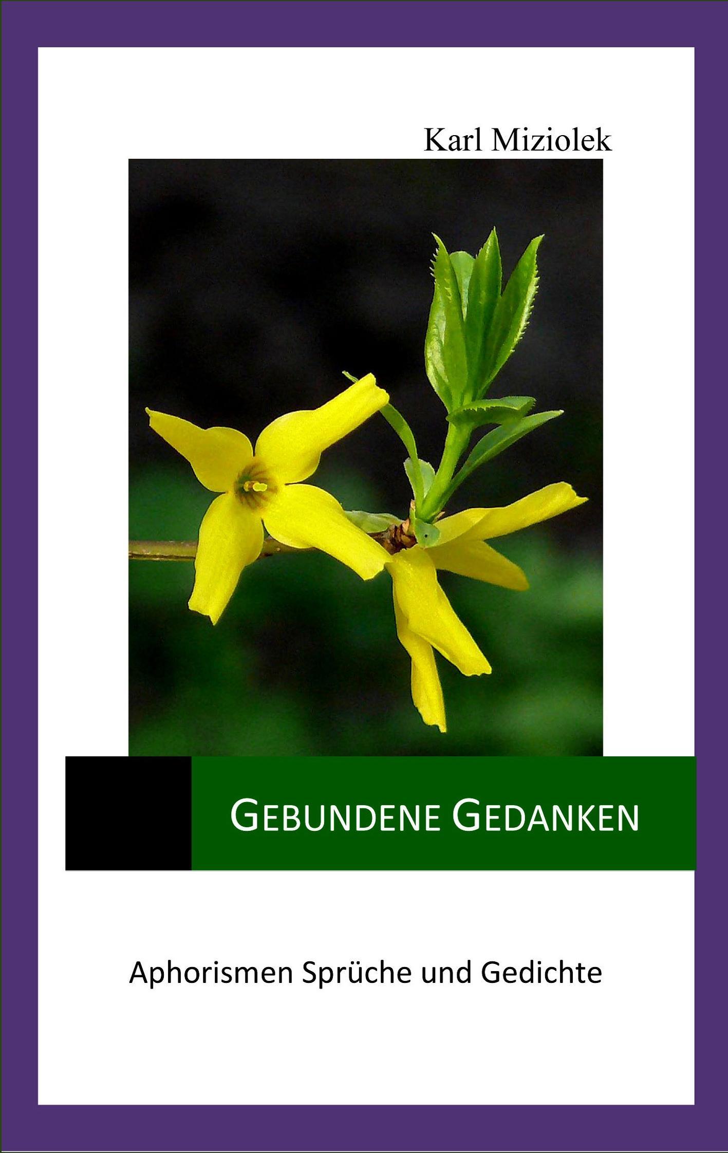 Vorderes Coverbild Gebundene Gedanken
