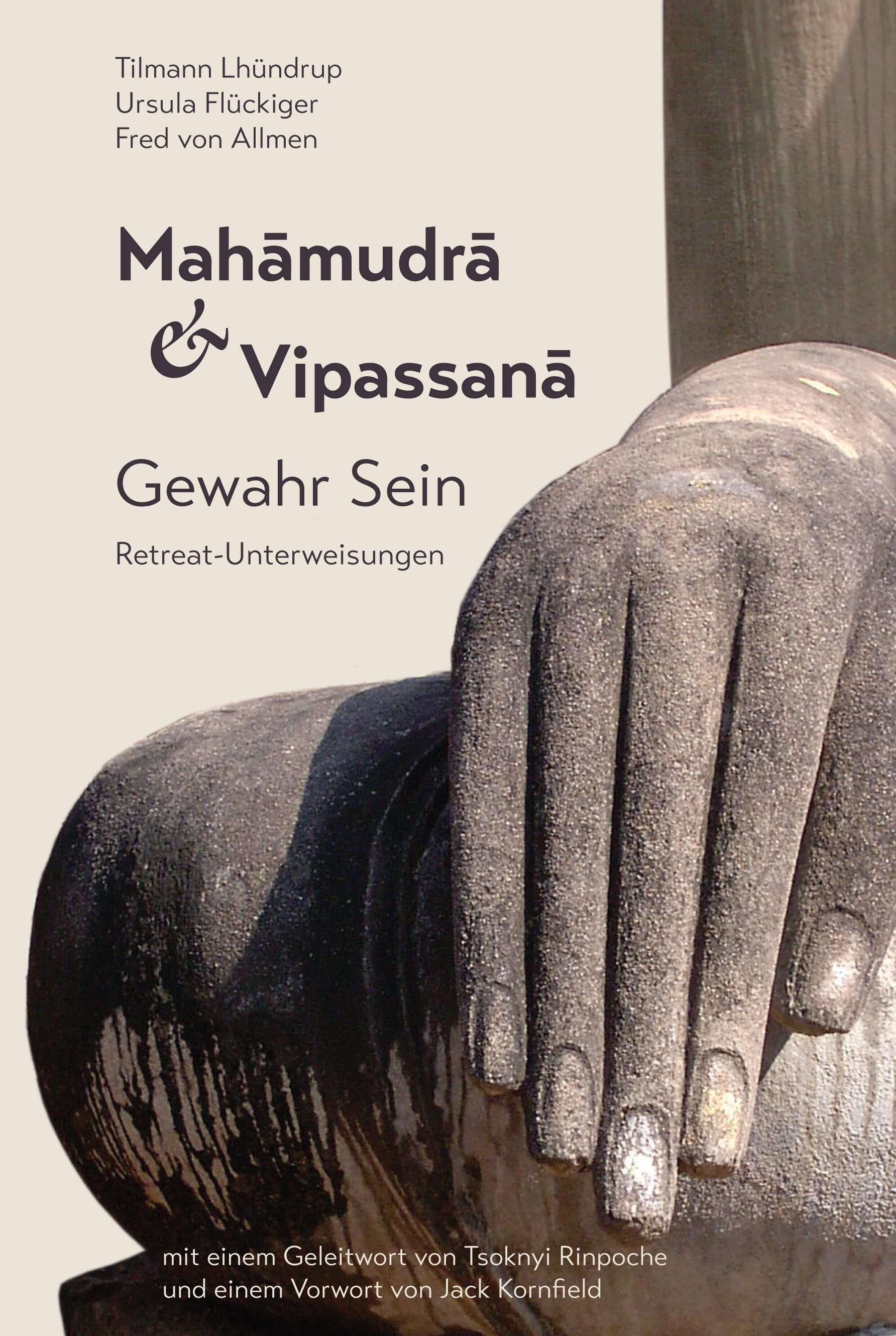 Vorderes Coverbild Mahamudra und Vipassana