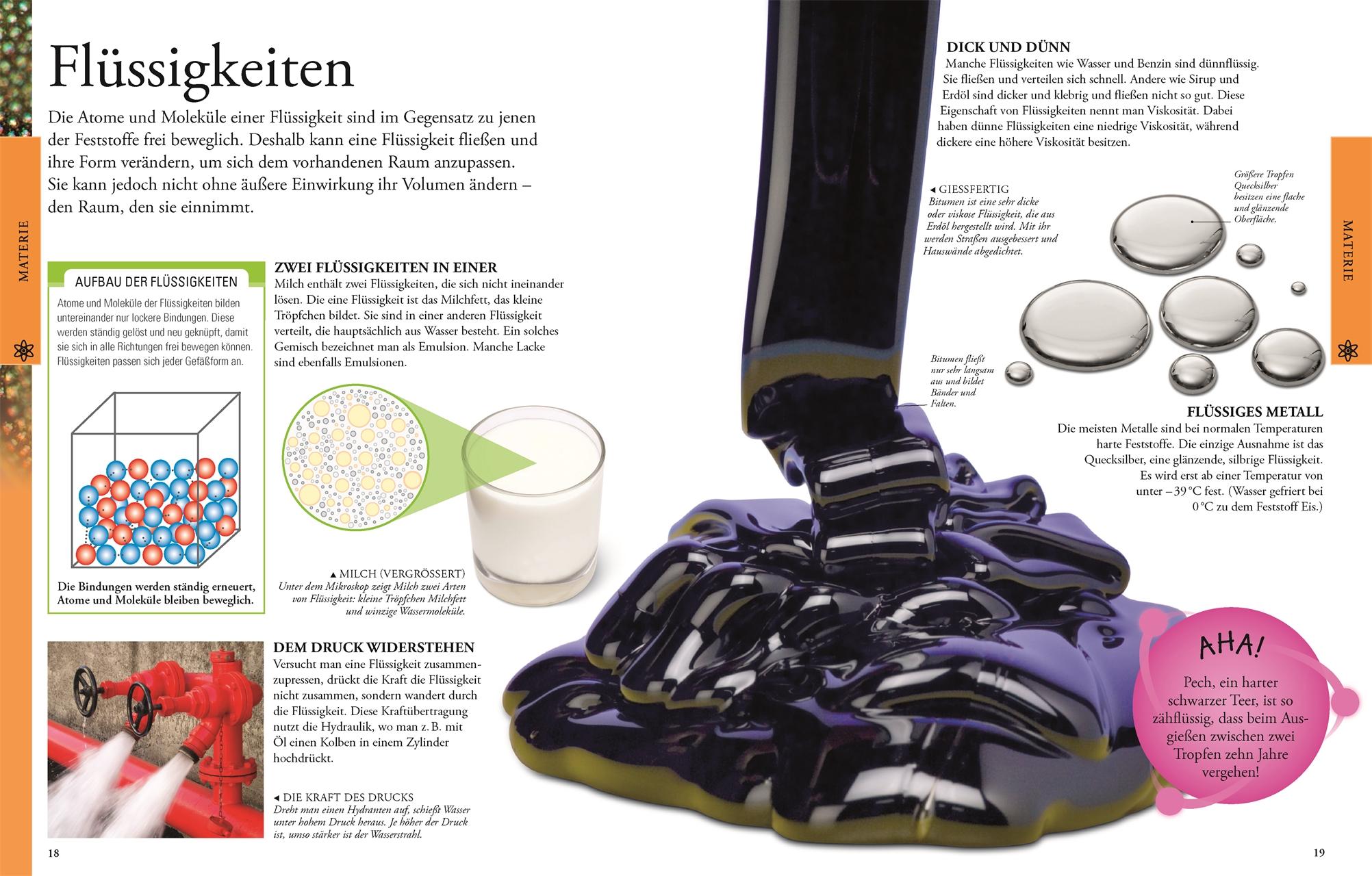 Beispielinhalt (Bild) Naturwissenschaften für clevere Kids