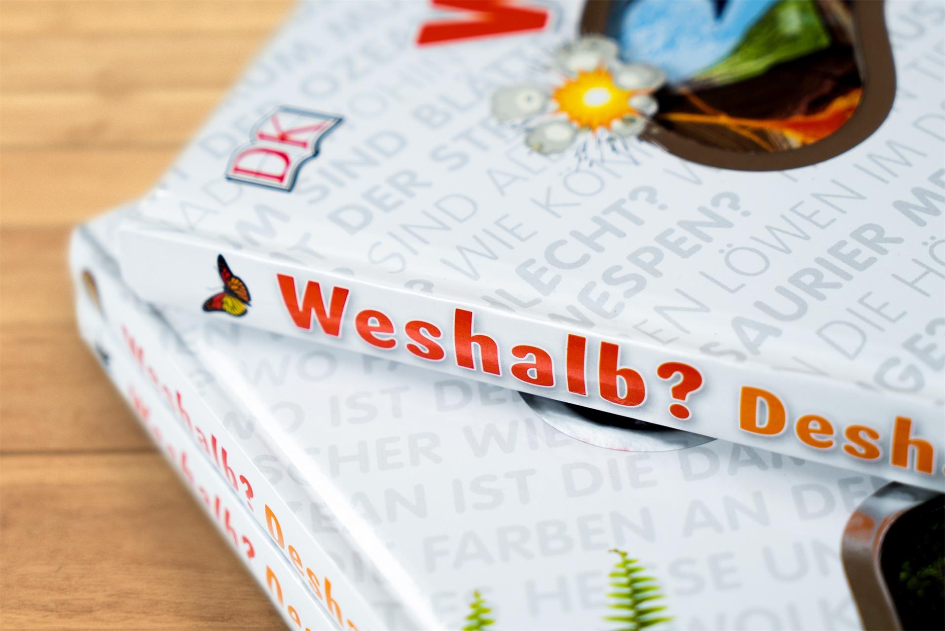 Beispielinhalt (Bild) Weshalb? Deshalb!