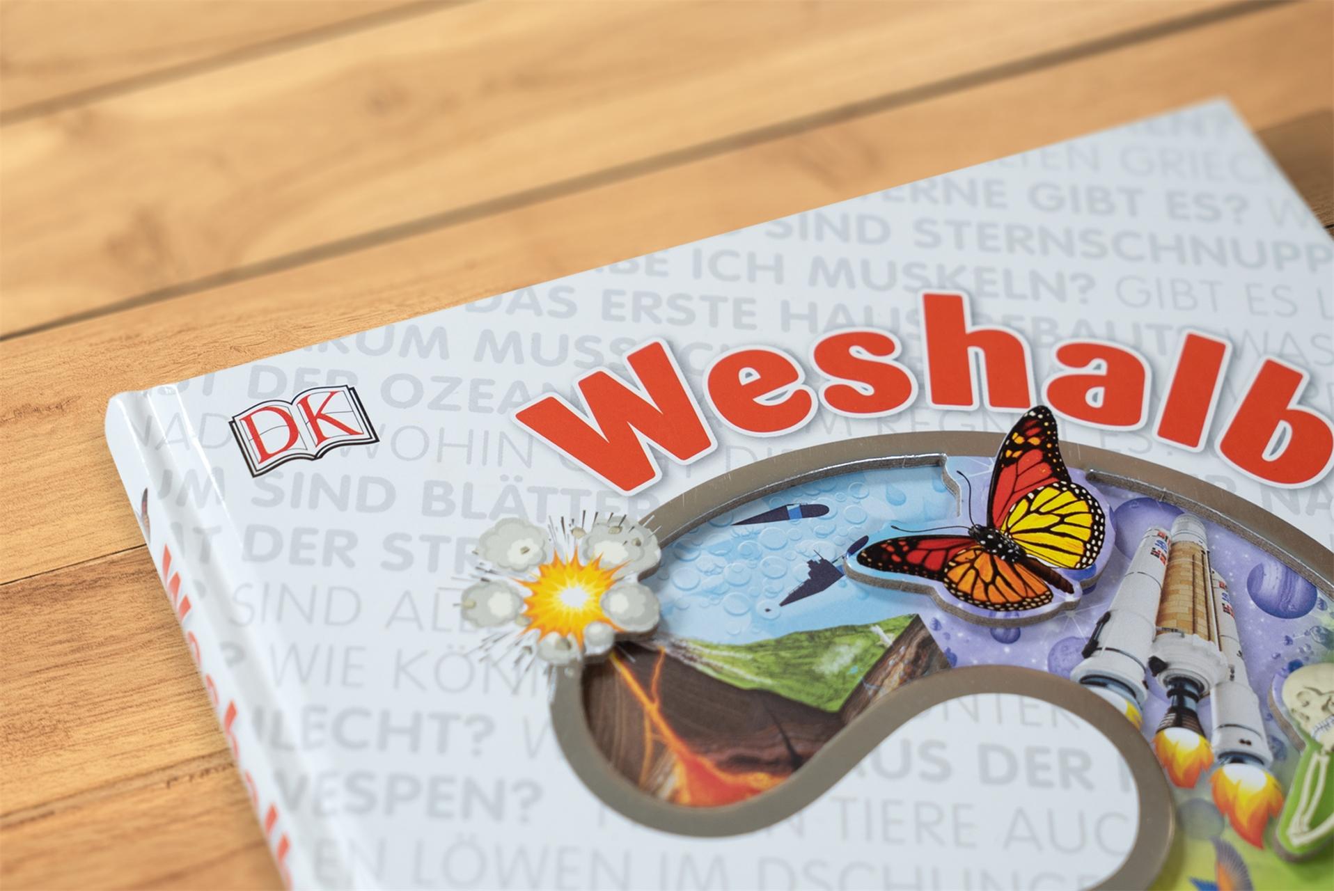 Beispielinhalt (Bild) Weshalb? Deshalb!
