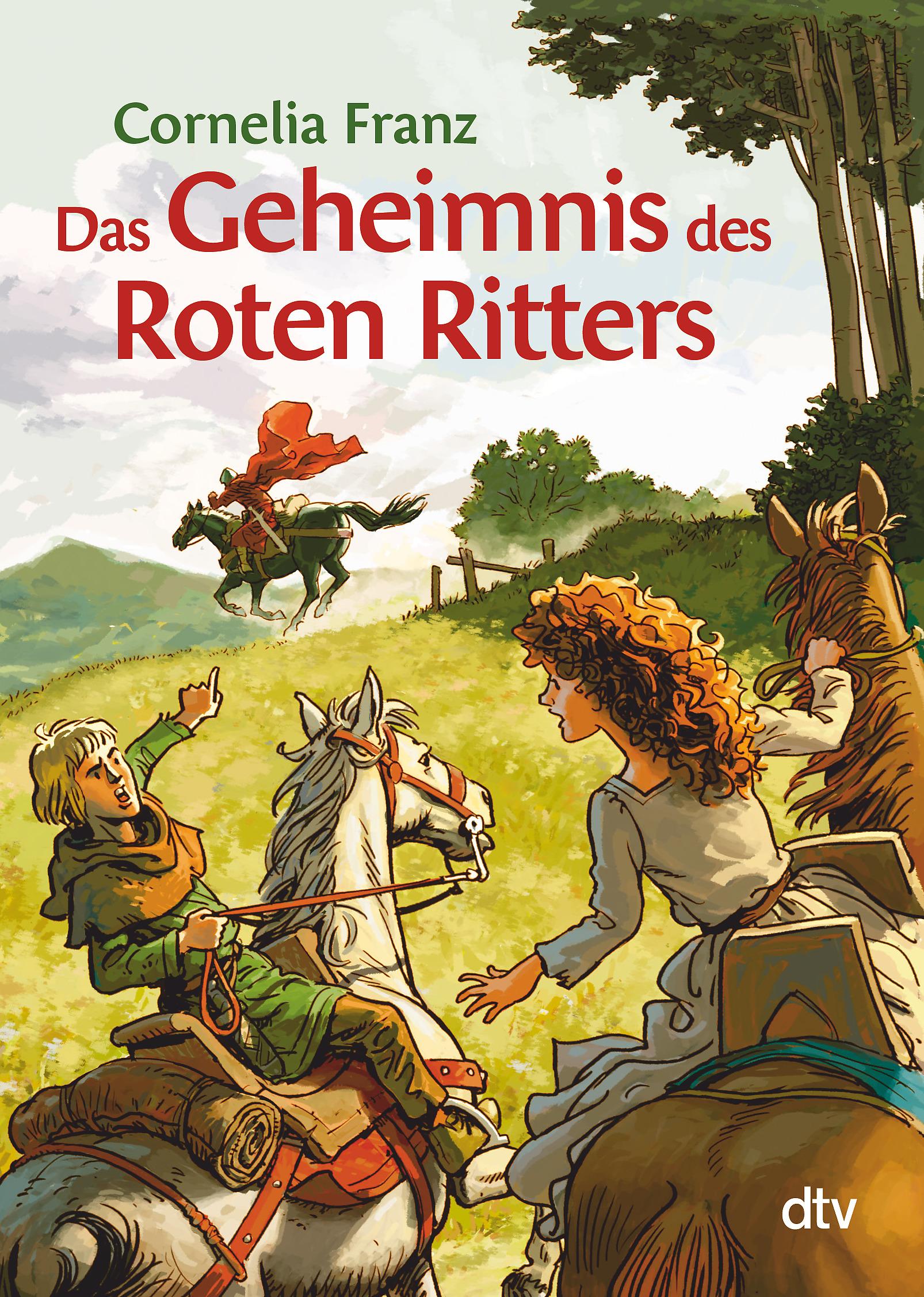 Vorderes Coverbild Das Geheimnis des Roten Ritters