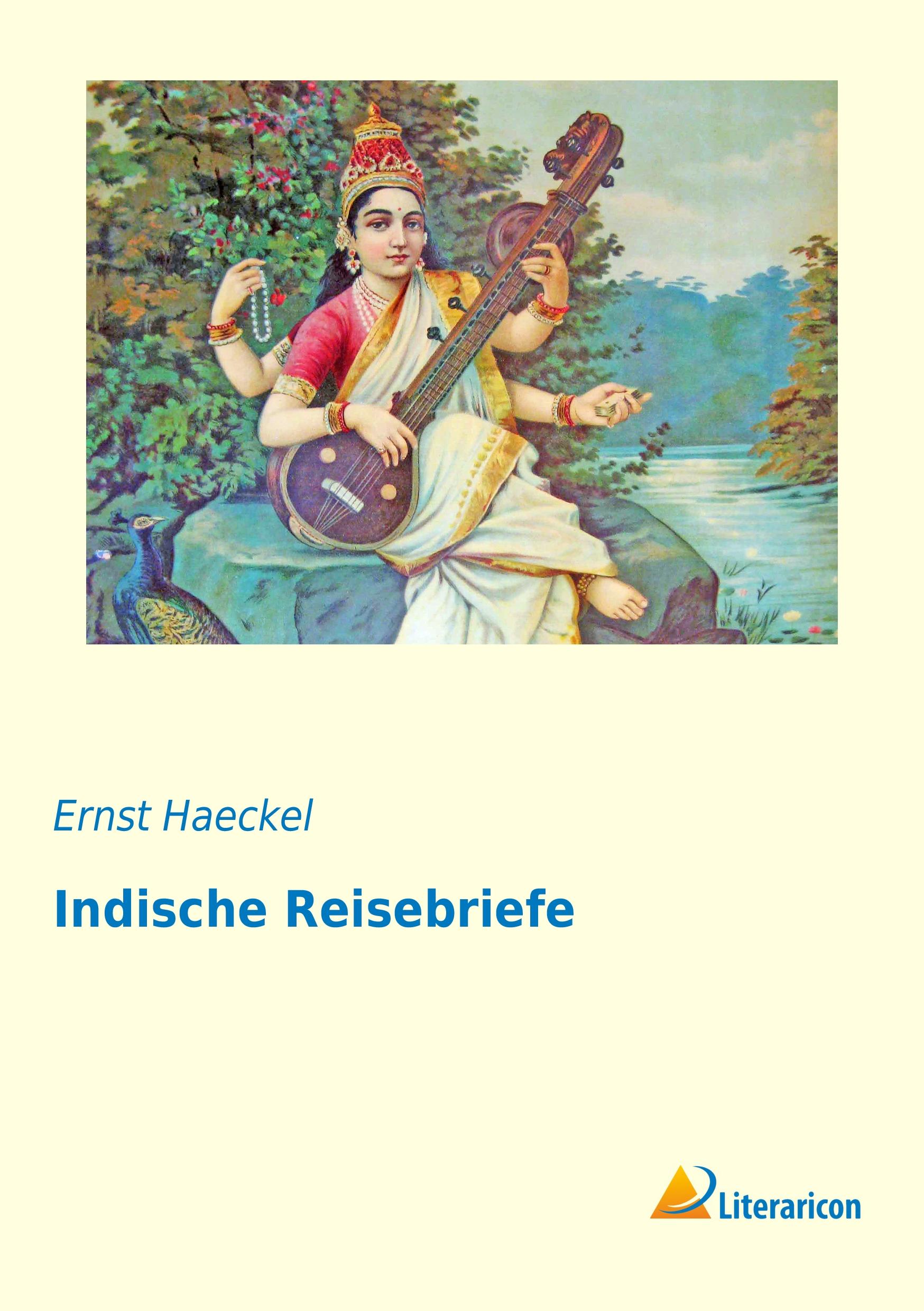 Vorderes Coverbild Indische Reisebriefe