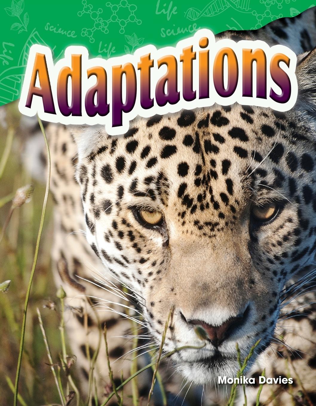 Vorderes Coverbild Adaptations