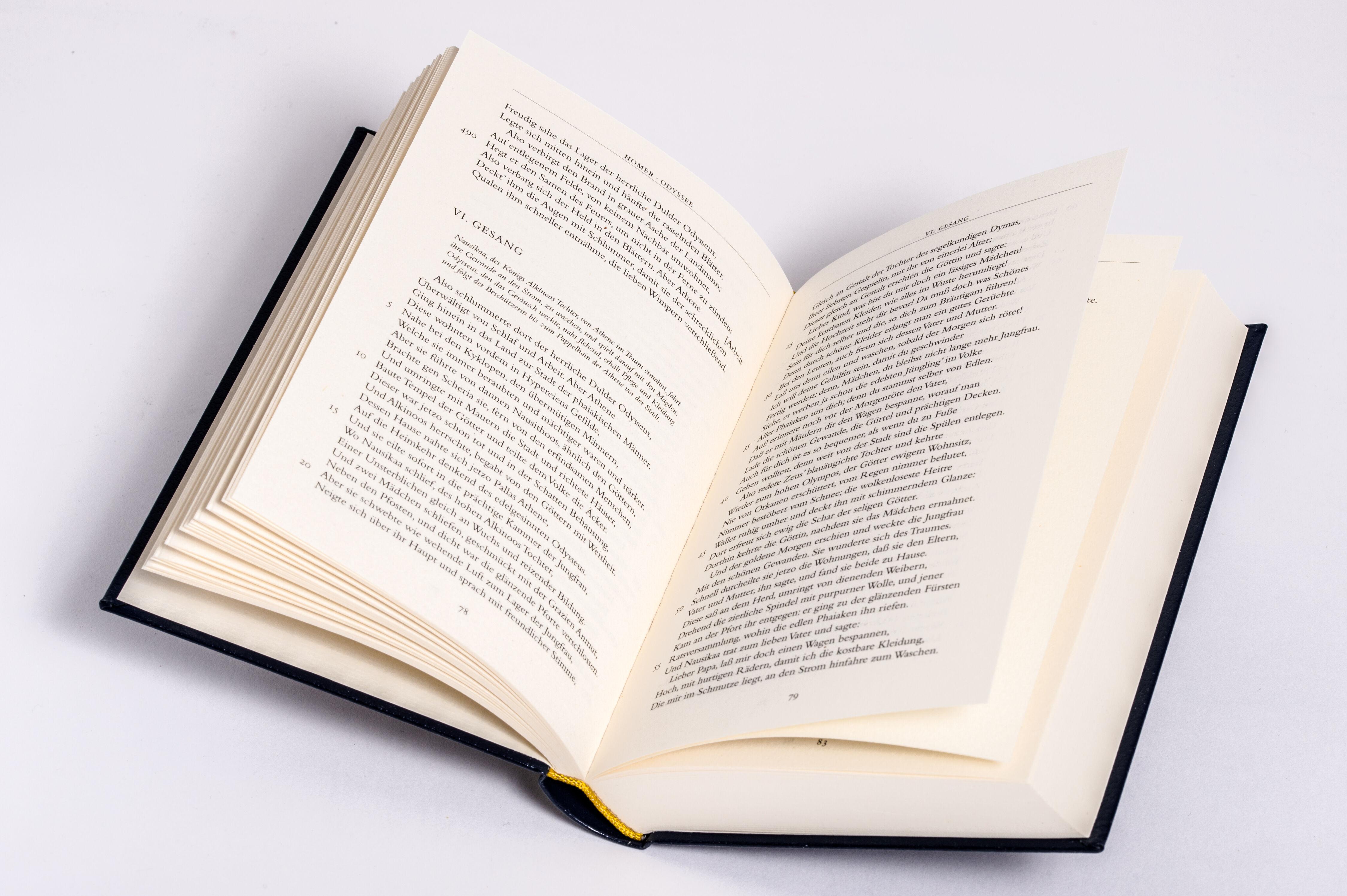 Beispielinhalt (Bild) Odyssee (Cabra-Lederausgabe)