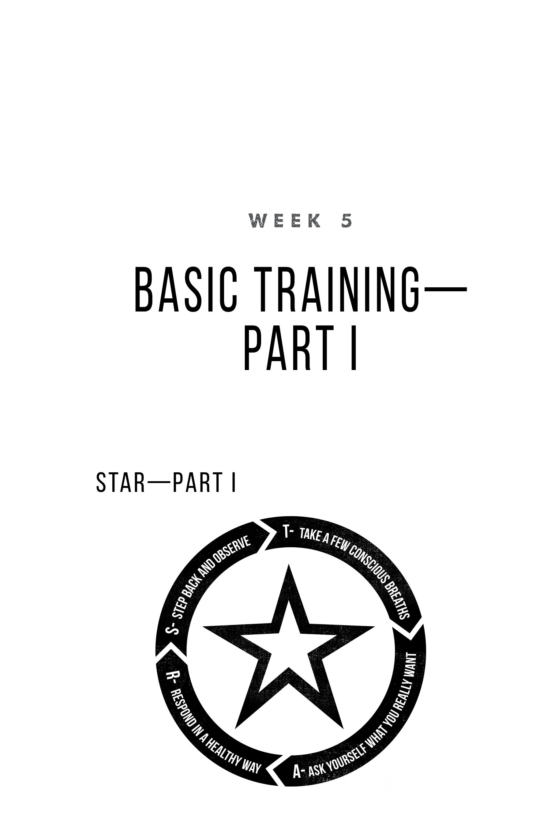 Beispielinhalt (Bild) Fortify