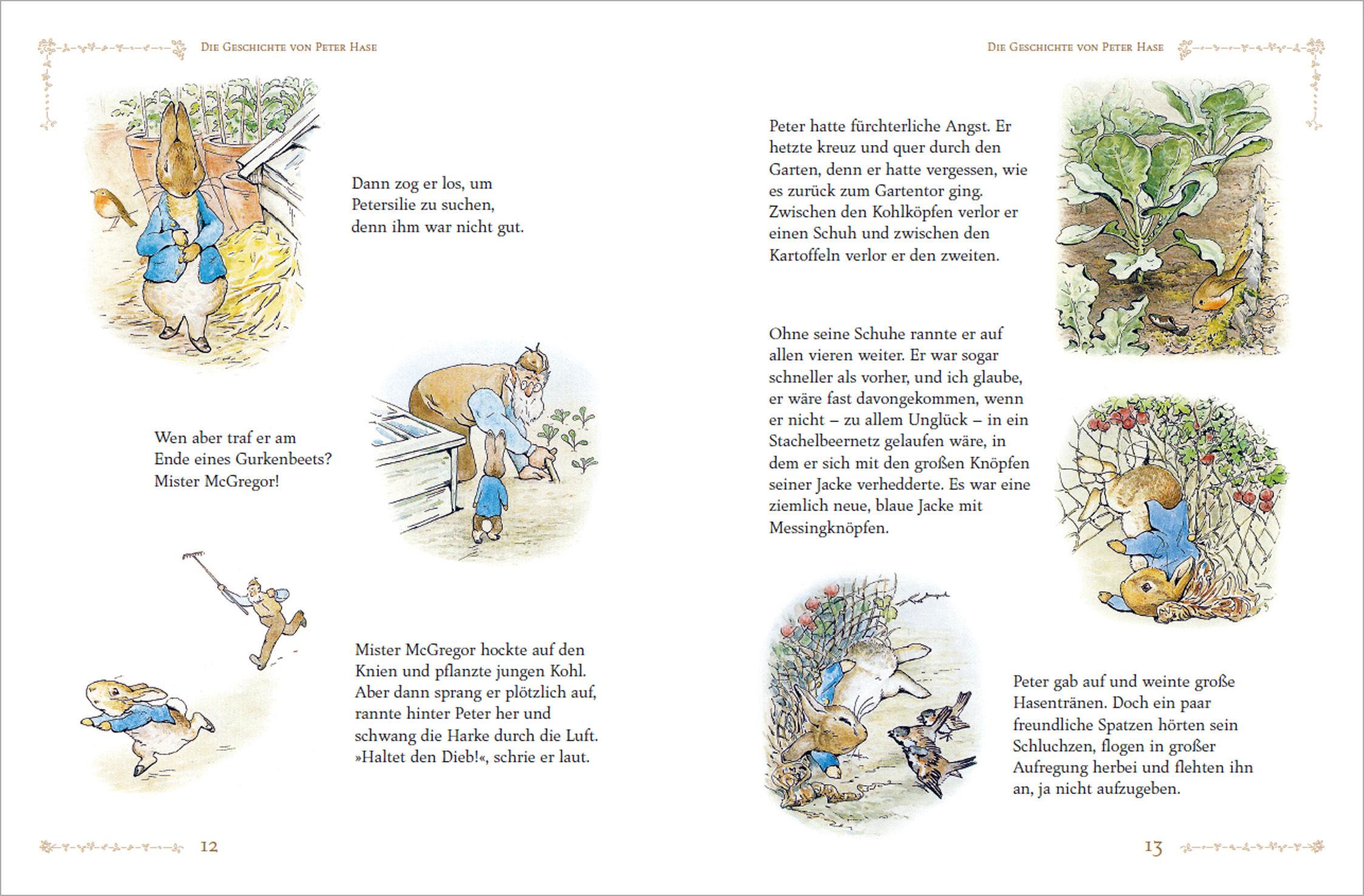 Beispielinhalt (Bild) Beatrix Potter - Sämtliche Geschichten von Peter Hase und seinen Freunden