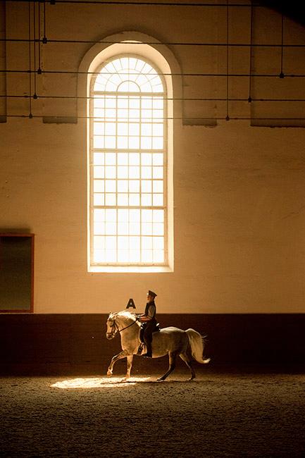 Beispielinhalt (Bild) 450 Jahre Spanische Hofreitschule