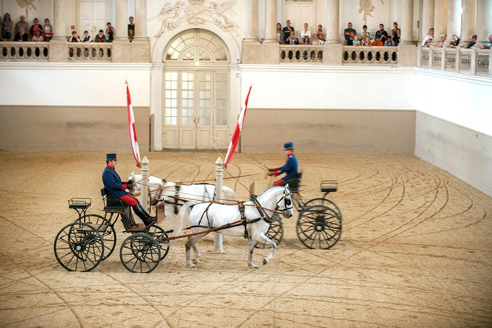 Beispielinhalt (Bild) 450 Jahre Spanische Hofreitschule