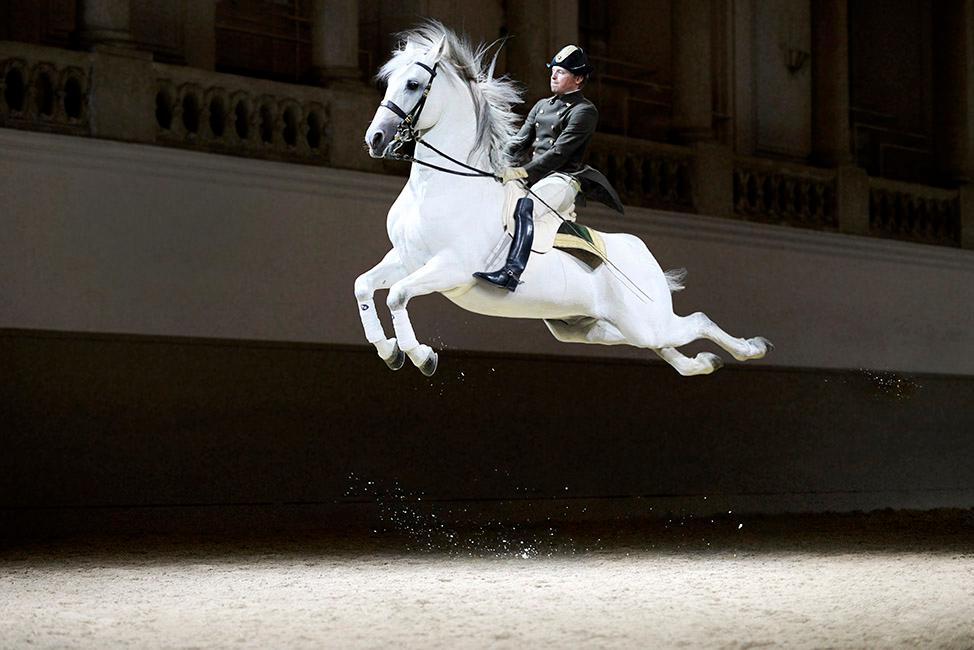 Beispielinhalt (Bild) 450 Jahre Spanische Hofreitschule