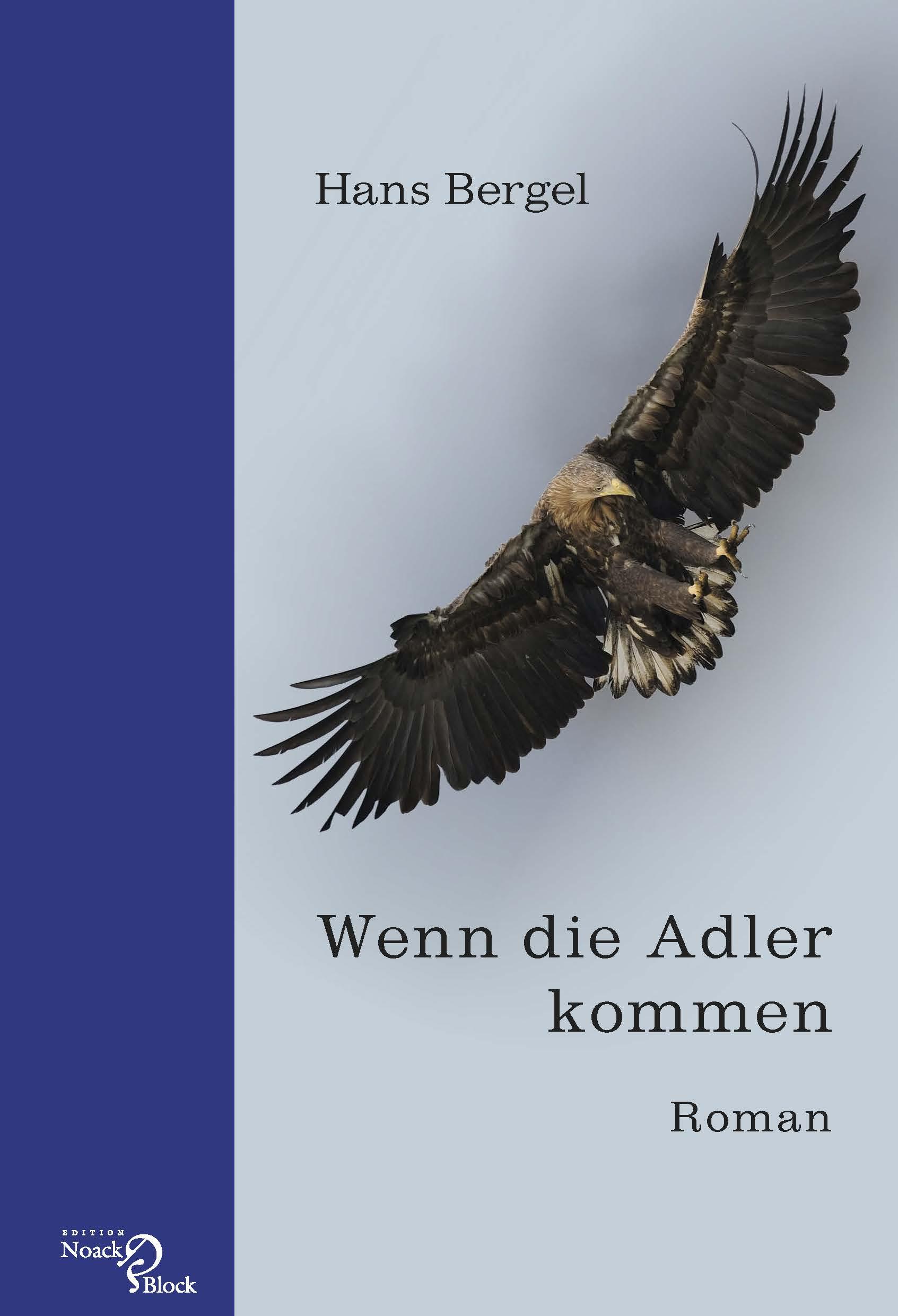 Vorderes Coverbild Wenn die Adler kommen