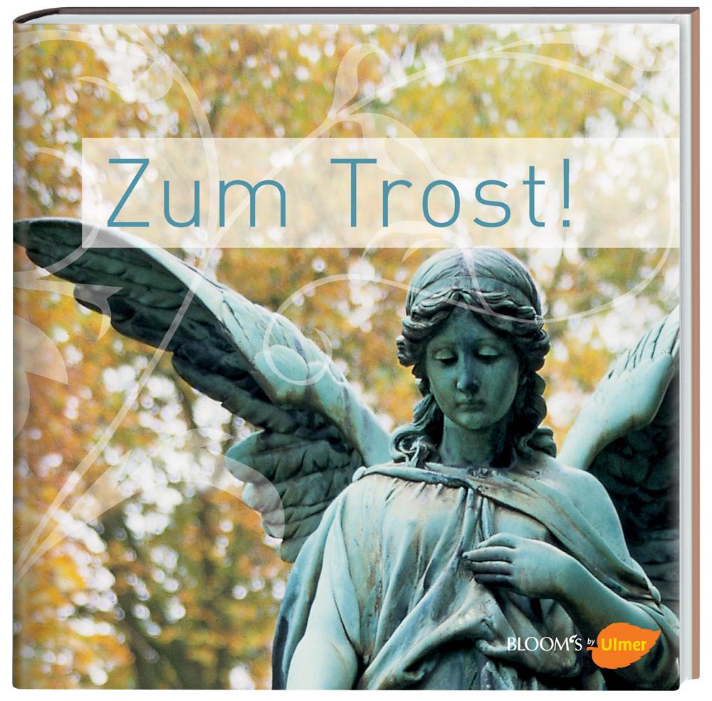 Vorderes Coverbild Zum Trost!