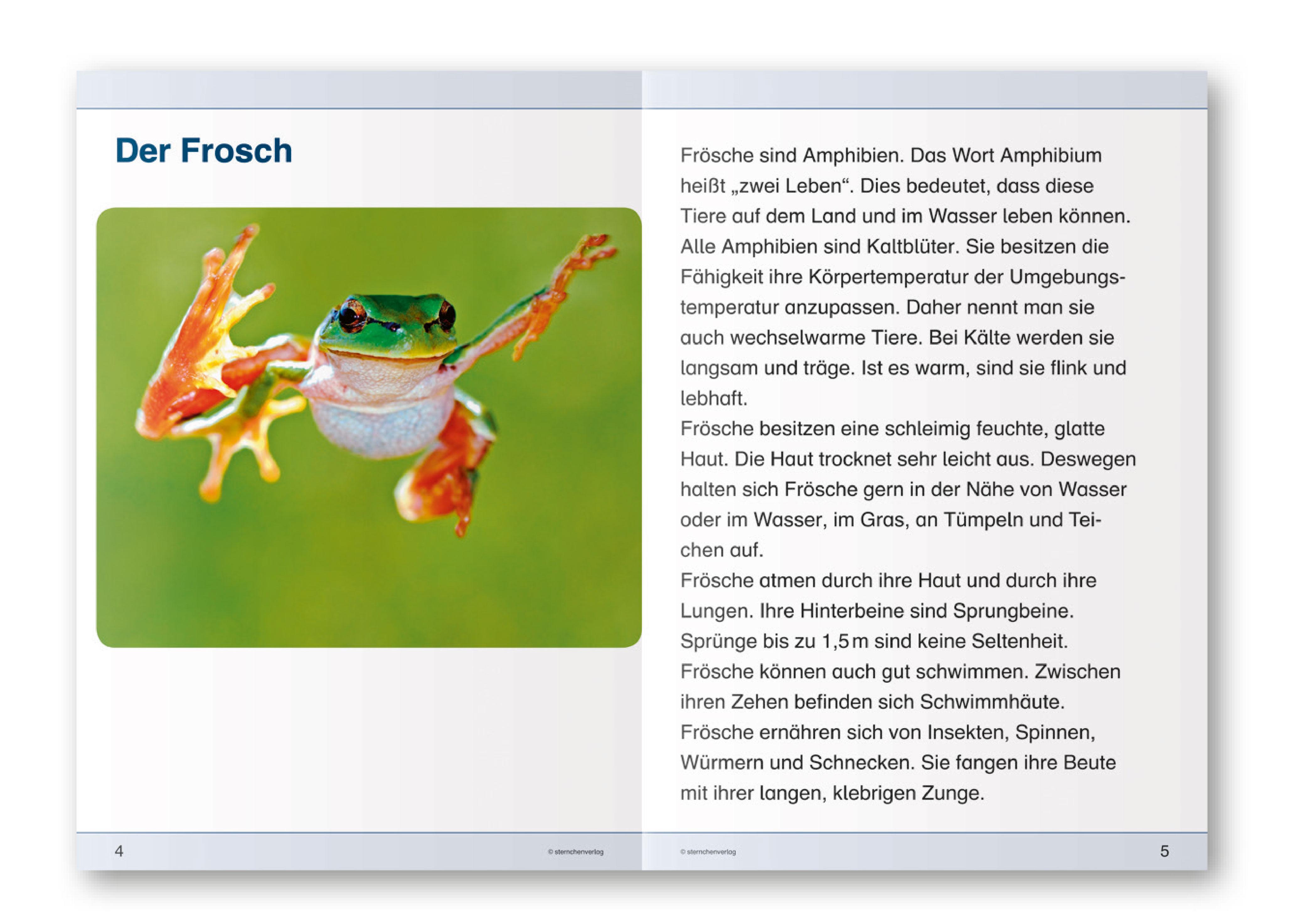 Beispielinhalt (Bild) Ich kenne den Frosch - Lebenszyklus