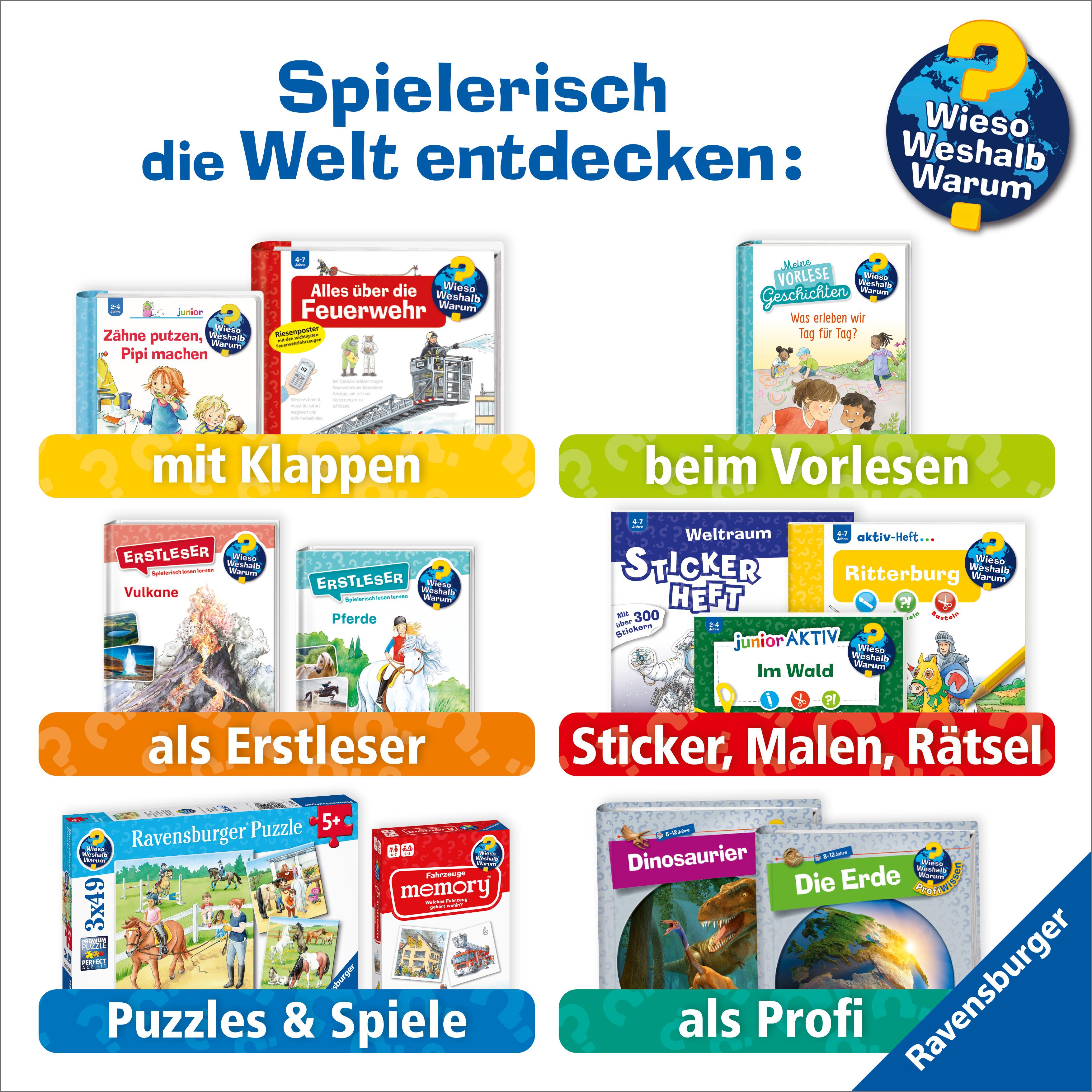 Beispielinhalt (Bild) Wieso? Weshalb? Warum?, Band 27: Wir entdecken Meerestiere