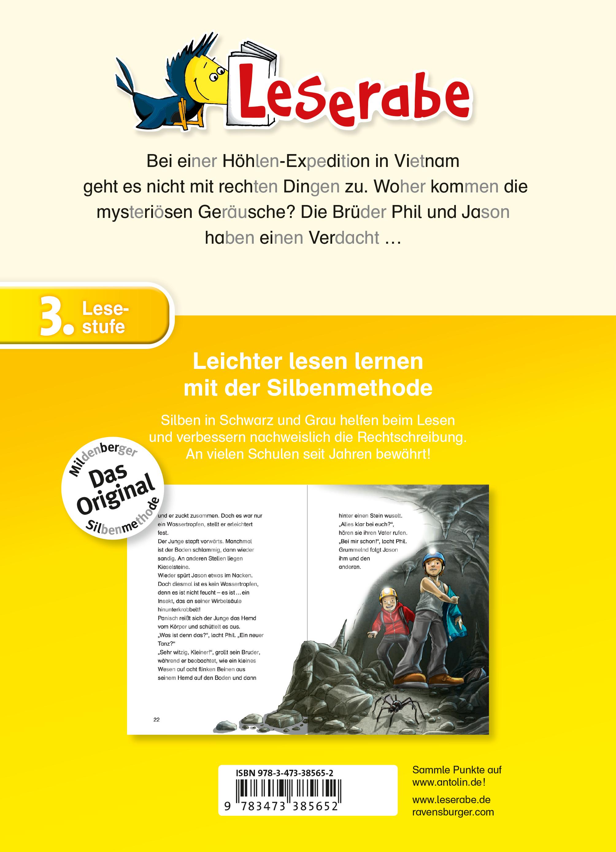 Rückseitencover Im Labyrinth der Finsternis - Leserabe 3. Klasse - Erstlesebuch für Kinder ab 8 Jahren