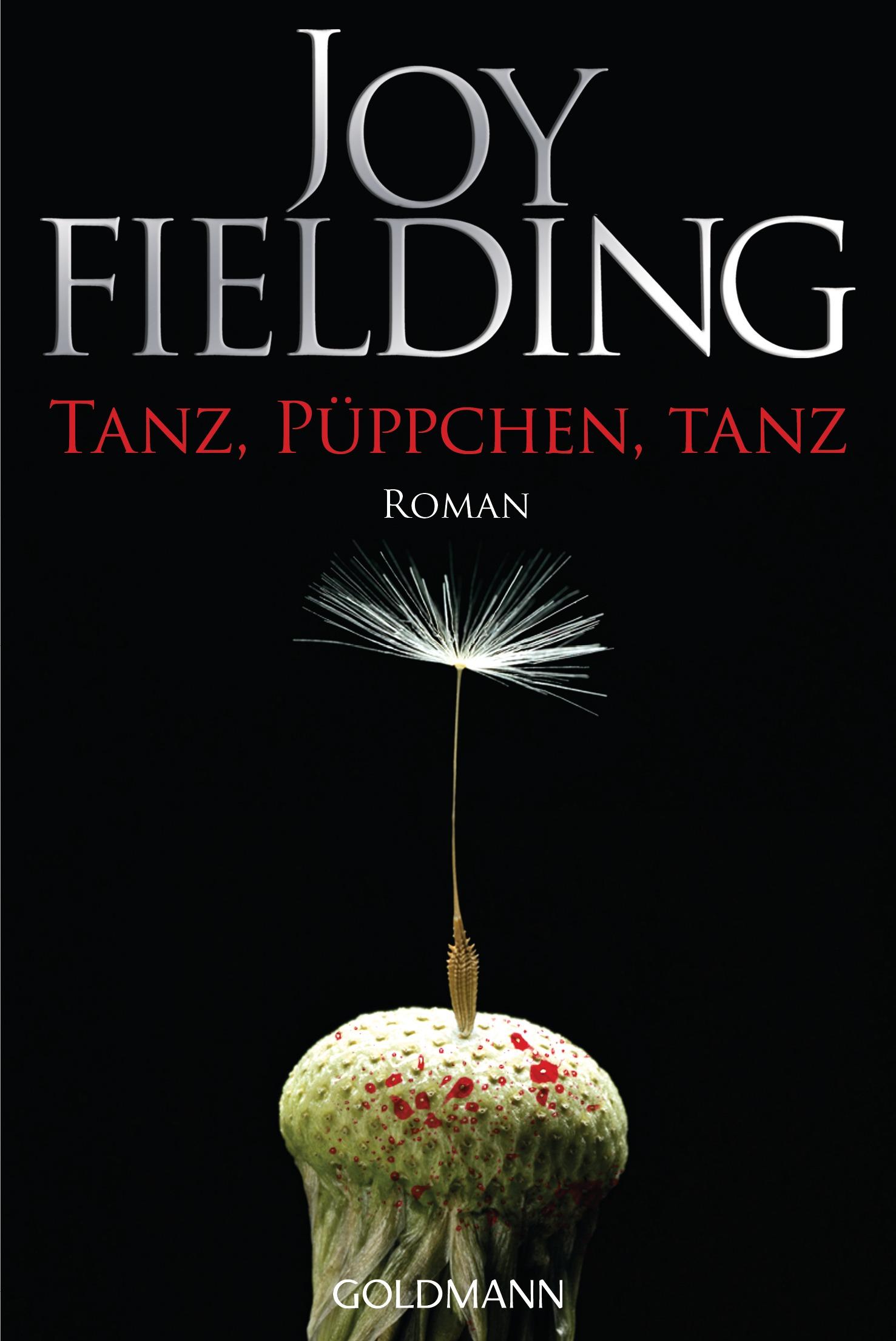 Vorderes Coverbild Tanz, Püppchen, tanz
