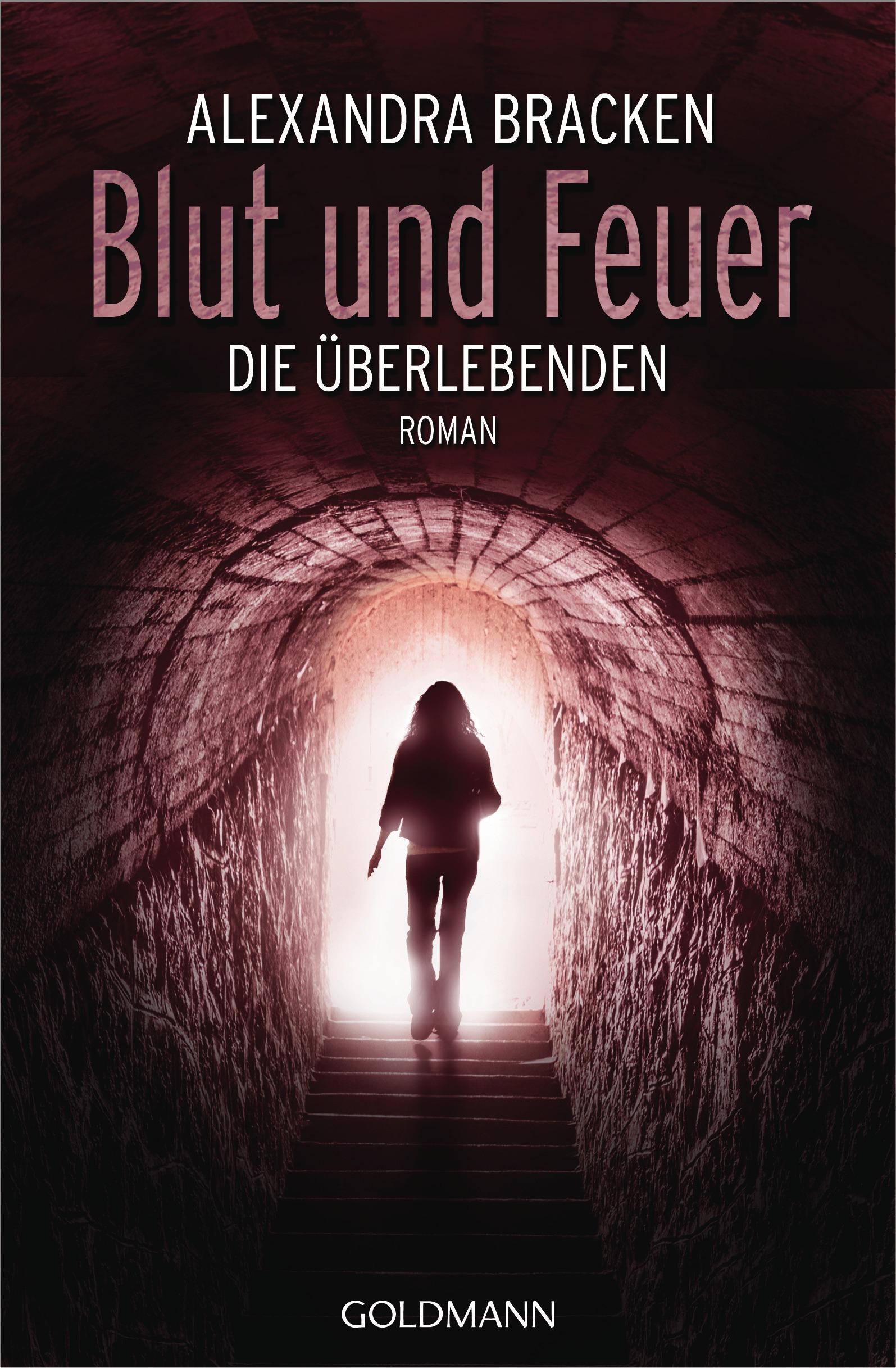 Vorderes Coverbild Blut und Feuer